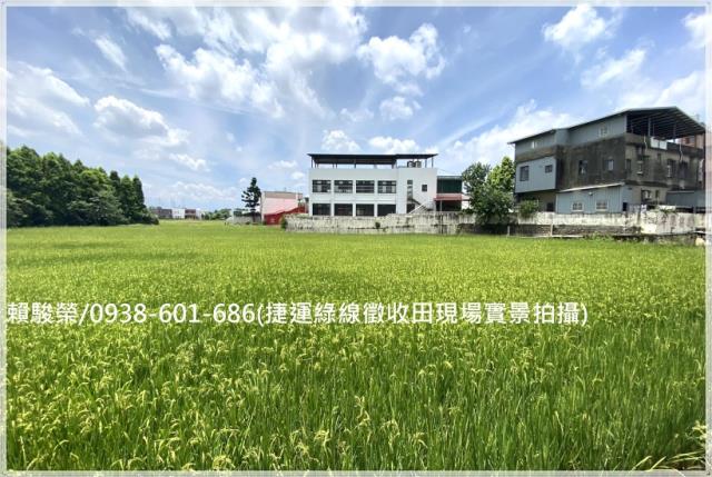 蘆竹捷運綠線徵收農地