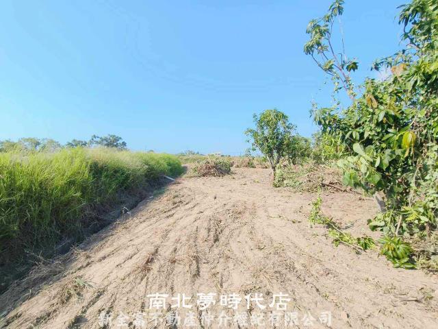 台南農地-3