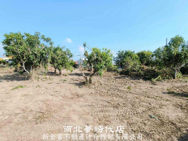 台南農地-4