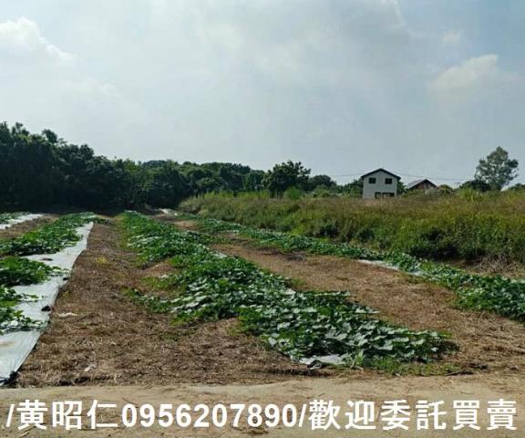 台南大內農地-9