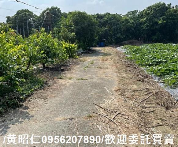 台南大內農地-10
