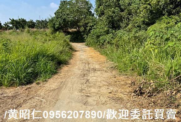 台南大內農地-11