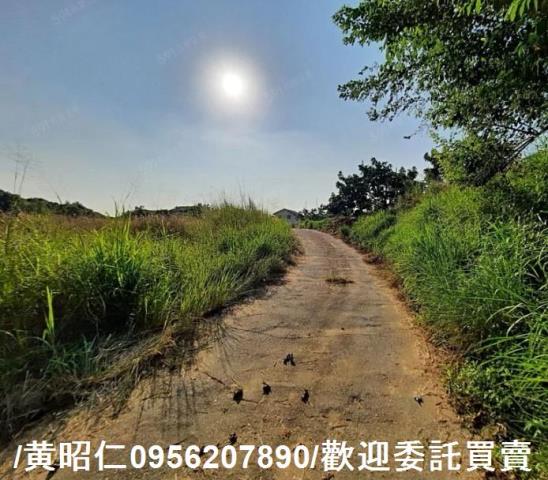 台南大內農地-2