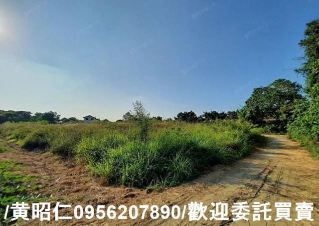 台南大內農地-3