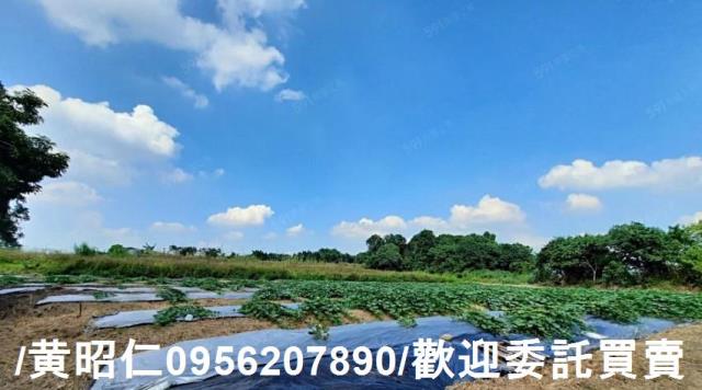 台南大內農地-4
