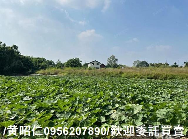 台南大內農地-5