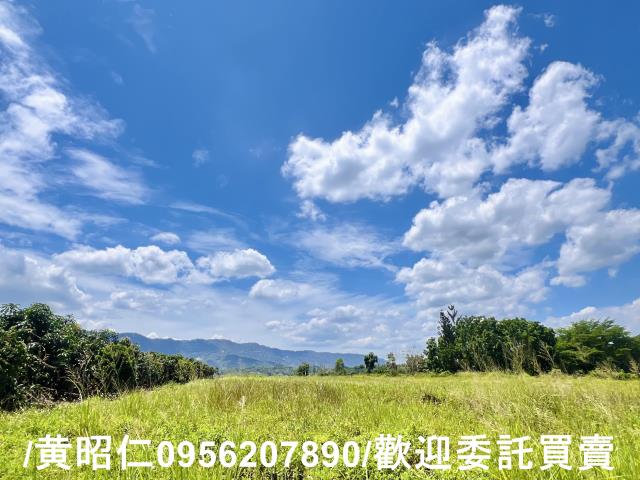 台南玉井農地-1