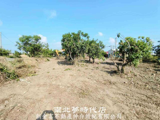 台南七股農地-5