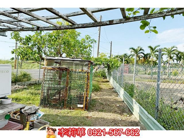 台南佳里農地-7