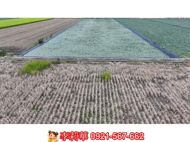台南麻豆農地-10