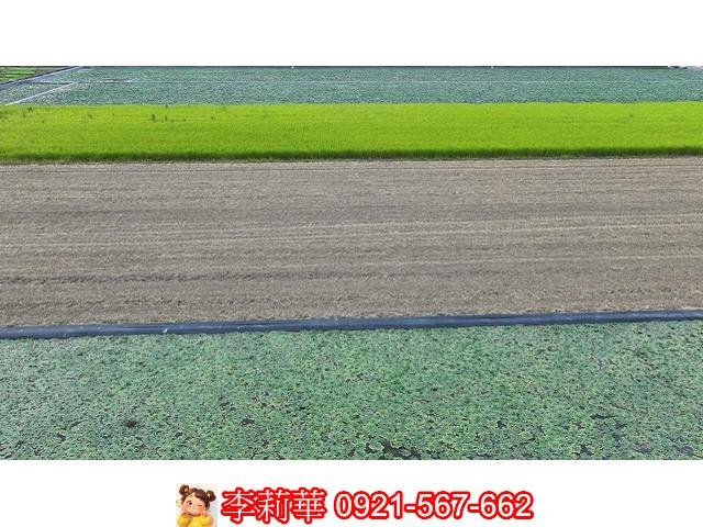 台南麻豆農地-2
