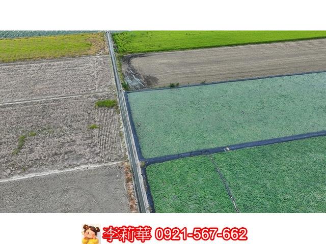 台南麻豆農地-5