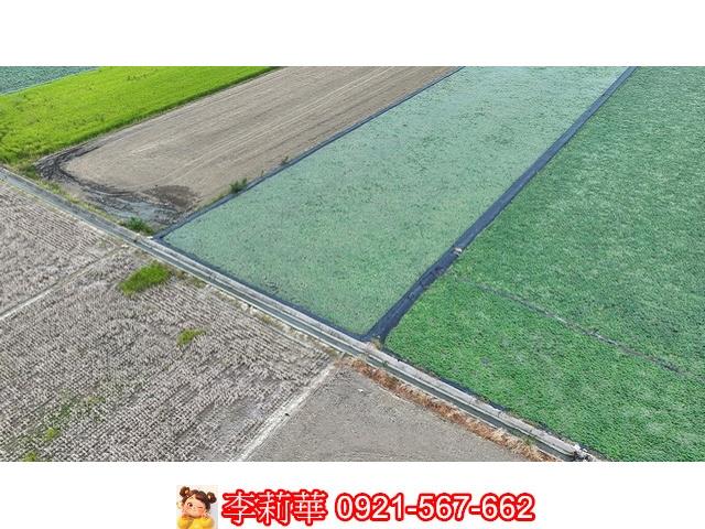 台南麻豆農地-6