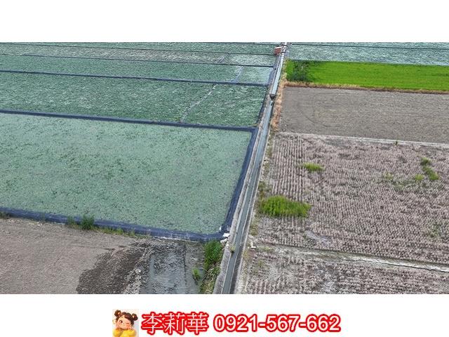 台南麻豆農地-8