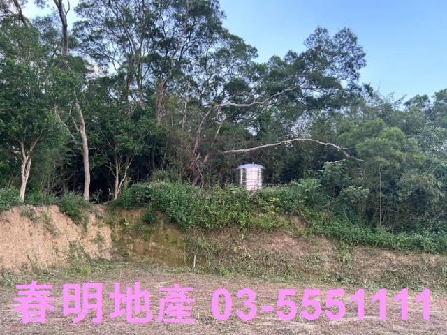 新竹峨眉農地-5