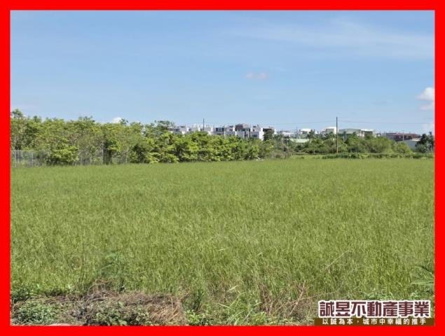 台南農地-11