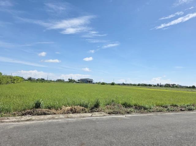 台南農地-3