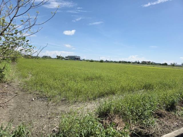 台南農地-4