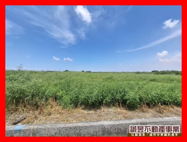 台南農地-10
