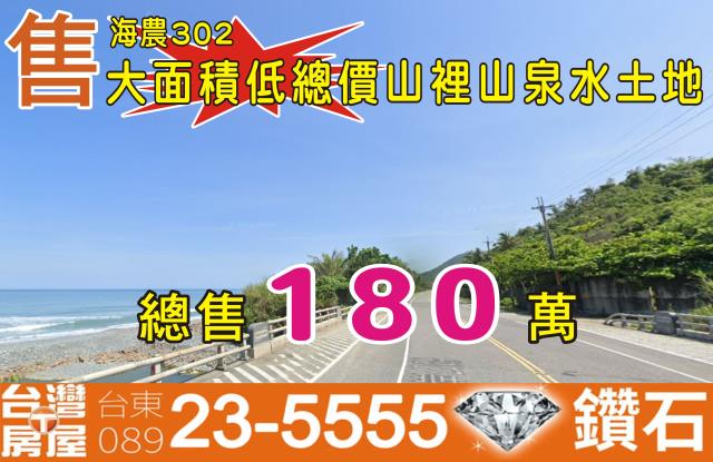 台東成功農地-0