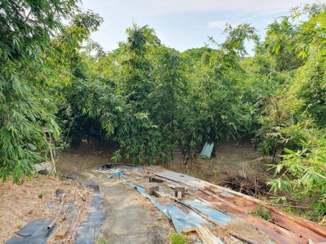 台南歸仁農地-9