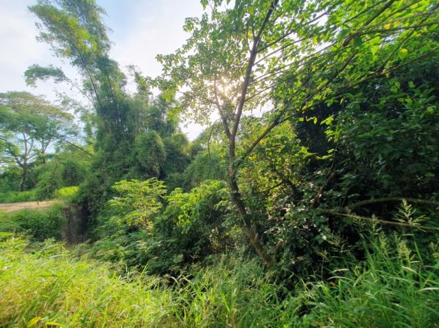 台南歸仁農地-10