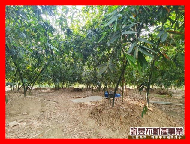 台南歸仁農地-0