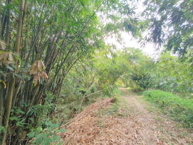 台南歸仁農地-1