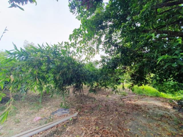 台南歸仁農地-3