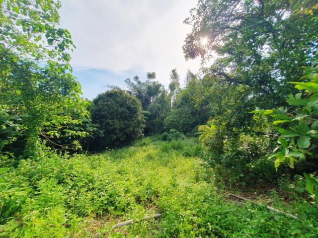 台南歸仁農地-4