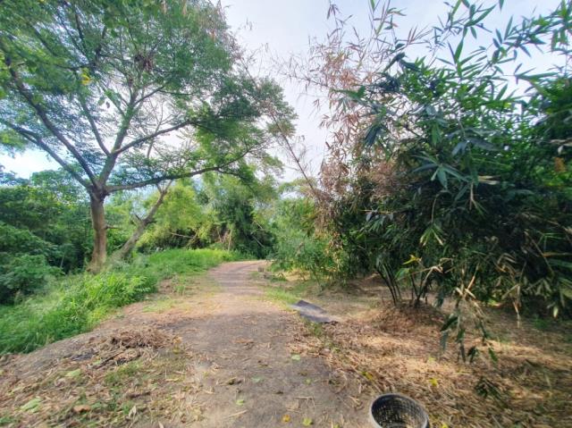 台南歸仁農地-5