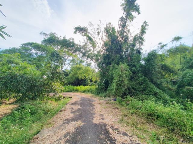 台南歸仁農地-7