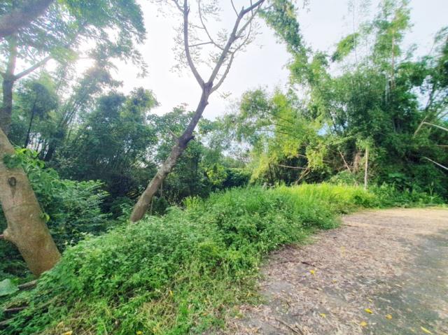 台南歸仁農地-8