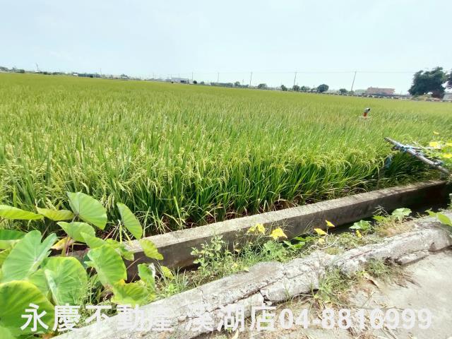 彰化埔鹽農地-9