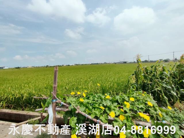 彰化埔鹽農地-14