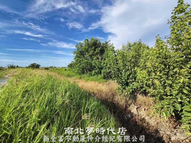 台南七股農地-3