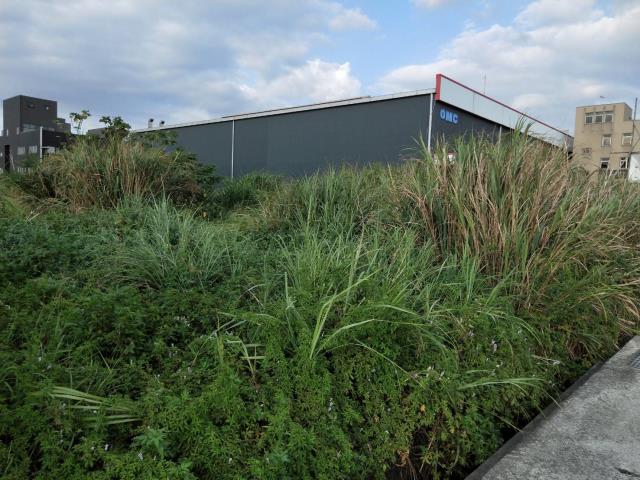 桃園新屋工業地-2