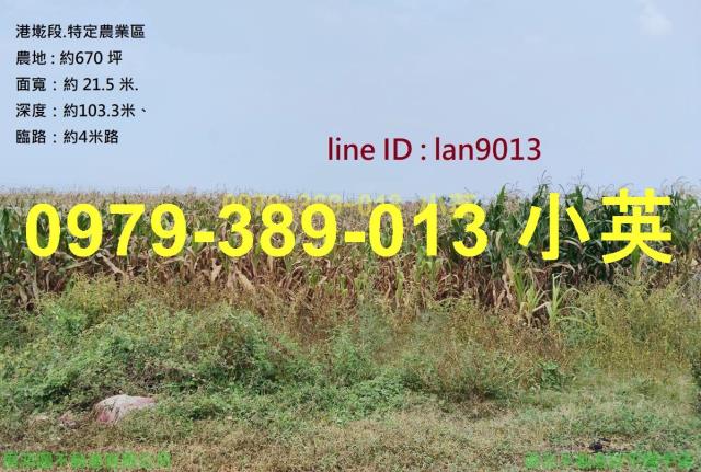 台南佳里農地-0