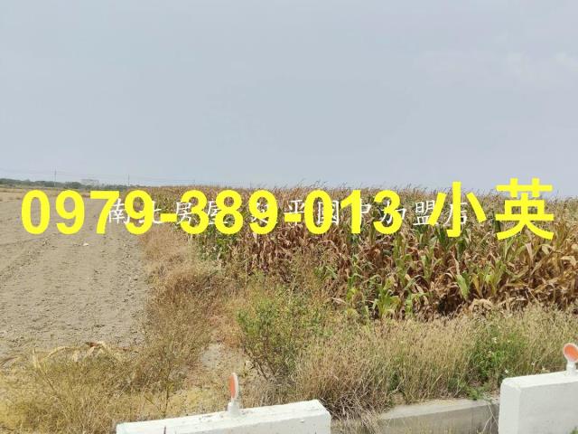 台南佳里農地-1