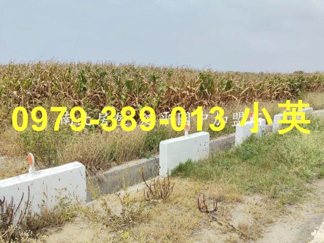 台南佳里農地-2