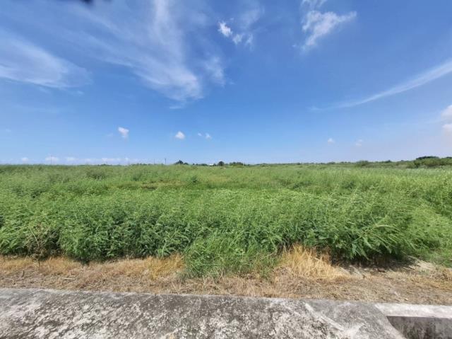 台南七股農地-1