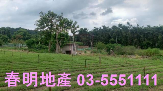 新竹關西農地-1