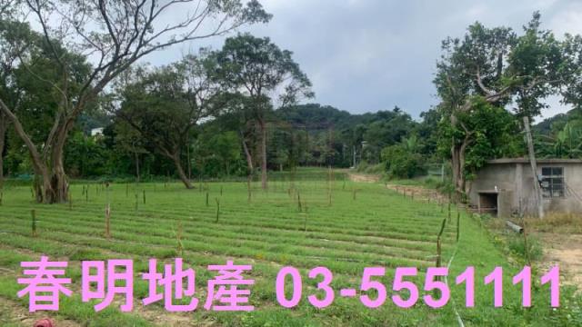 新竹關西農地-2