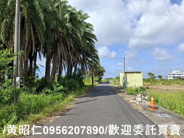 台南安南農地-7