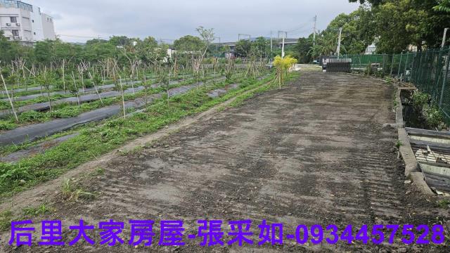 台中后里農地-0