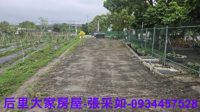 台中后里農地-1