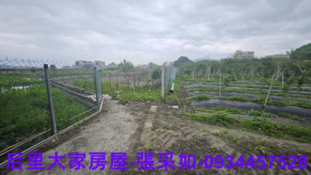 台中后里農地-3