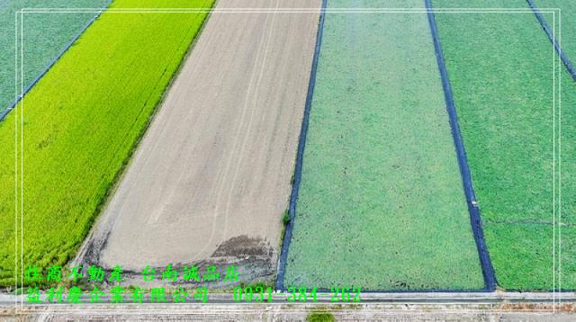 台南市六甲區農地