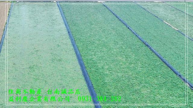 麻豆寮子廍3分特定農