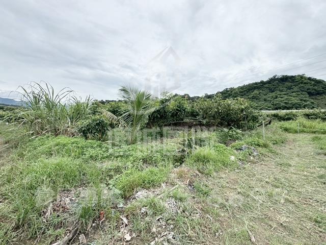 台灣房屋民權加盟店土地買賣